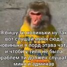 Stanislav_Boltikov